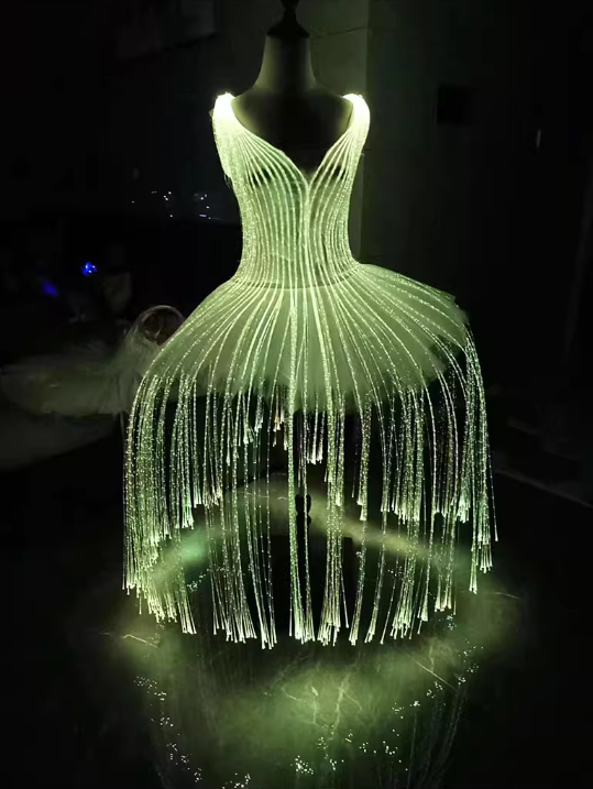 Ballet Costume Fiber Optic Skirt Luminous Dress Color Change Remote Control DIY Customized