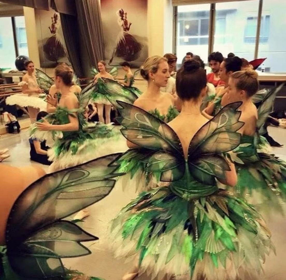 Peacock Dance Dress Performance Suits Wings