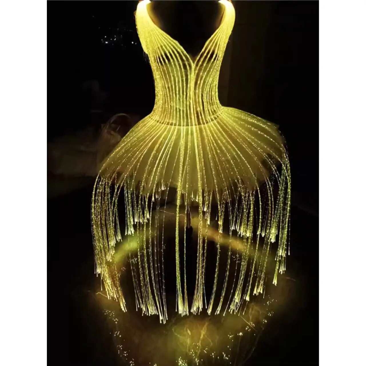 Ballet Costume Fiber Optic Skirt Luminous Dress Color Change Remote Control DIY Customized