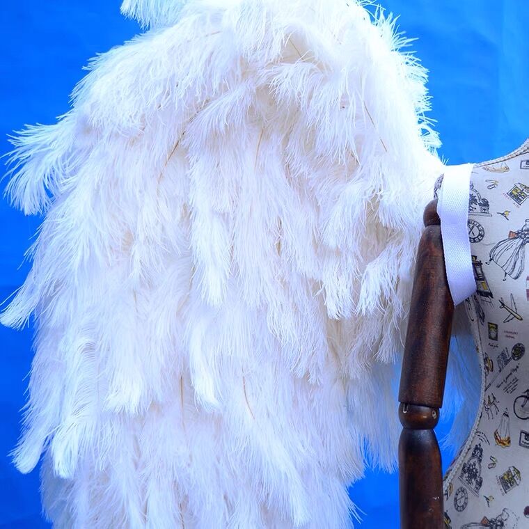 Natural Ostrich Angel White Feather Pink Wings