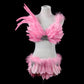 Super Large Victoria Pink Feather Angel Wings Costume