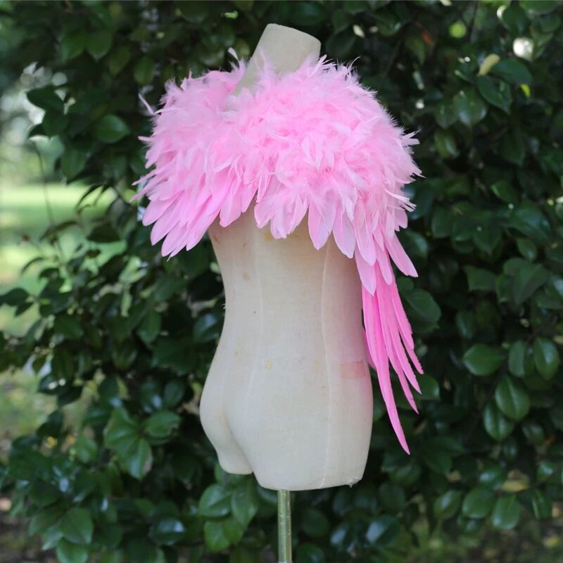 Victoria pink feather angel wings costume