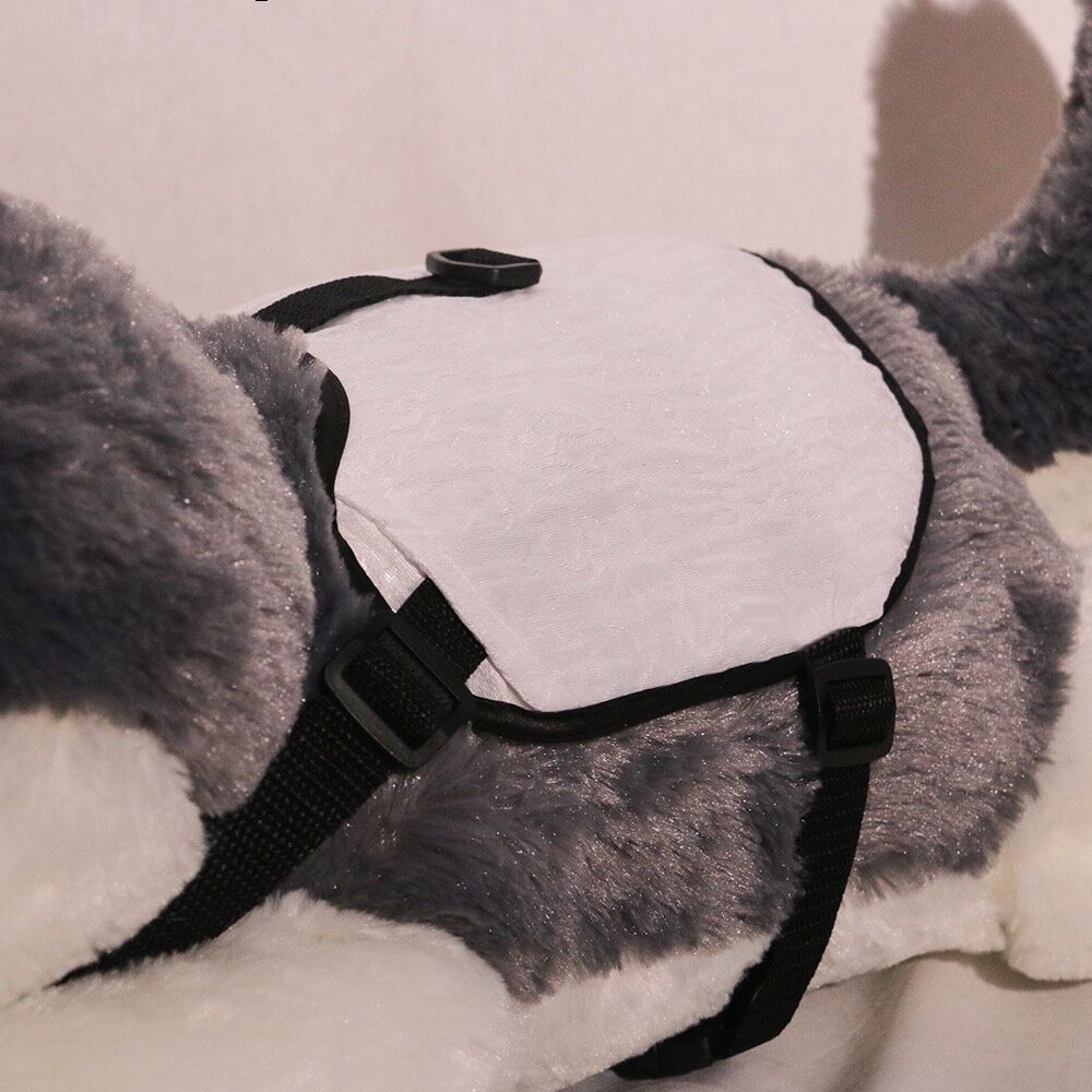 Pet LED Clothing