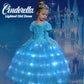 LED Light Up Cinderella Dress