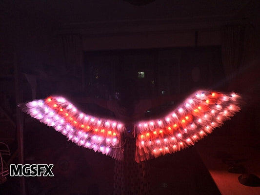 Programa LED Iluminar Alas de plumas
